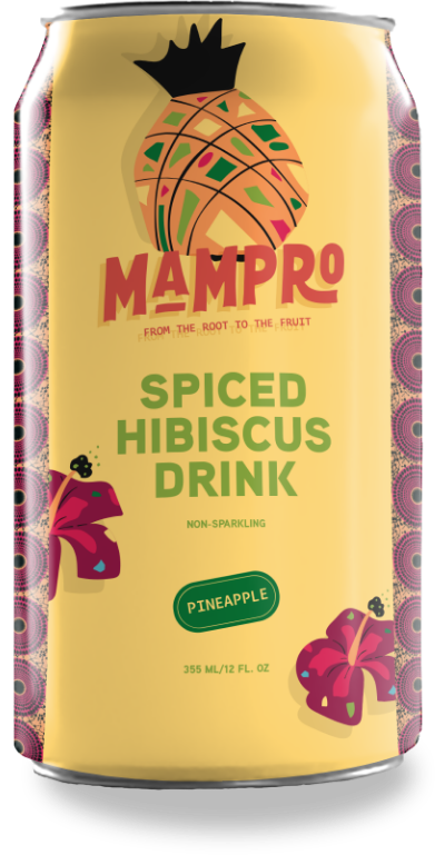 Spiced Hibiscus Drink