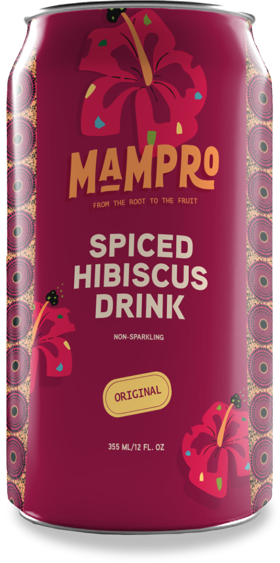 Spiced Hibiscus Drink